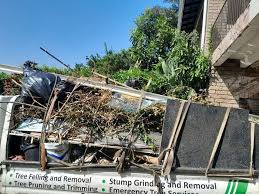 Best Residential Junk Removal  in Arcola, IL